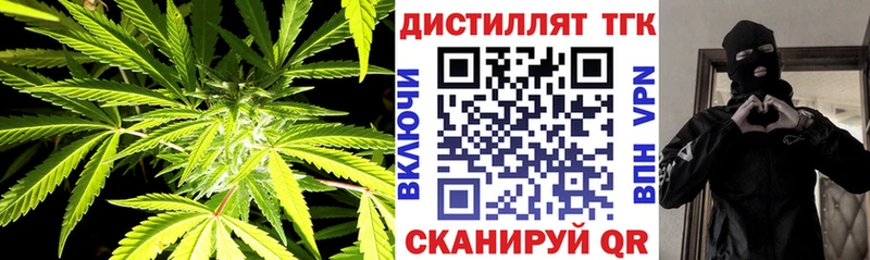 ТГК Wax  это телеграм  Жиздра  закладка 