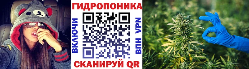 купить сайты mega ссылки Конопля Ganja Жиздра